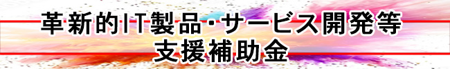 革新的IT製品・サービス開発等支援補助金のご案内